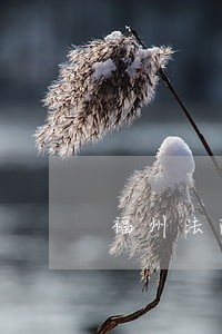 福州法院陈翟新
