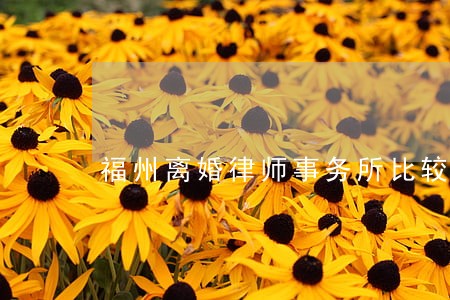 福州离婚律师事务所比较 福州离婚律师事务所比较