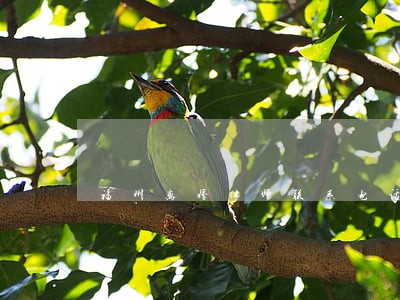 福州离婚律师联系电话 福州离婚律师联系电话