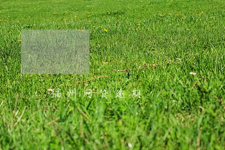 福州网贷逾期 福州网贷逾期