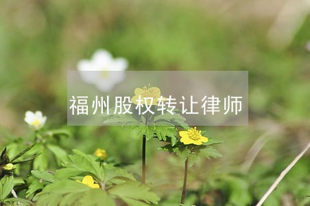 福州股权转让律师