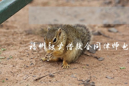 福州融资借款合同律师电话多少 福州融资借款合同律师电话多少