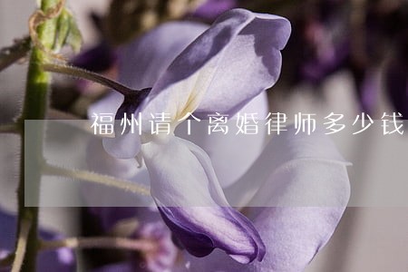 福州请个离婚律师多少钱 福州请个离婚律师多少钱