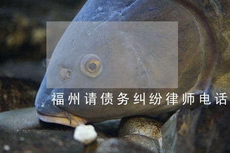 福州请债务纠纷律师电话多少 福州请债务纠纷律师电话多少