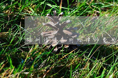 福州请债务纠纷律师费用标准 福州请债务纠纷律师费用标准