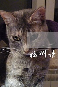 福州请罗源县债务纠纷律师 福州请罗源县债务纠纷律师