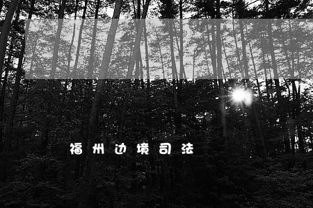 福州边境司法