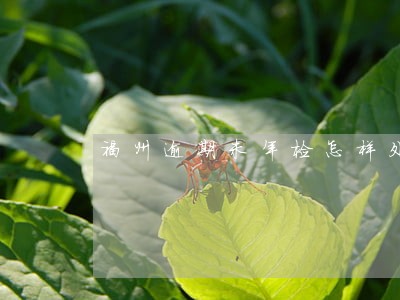 福州逾期未年检怎样处罚规定