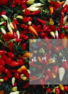 福州金山债务纠纷律师要多少钱 福州金山债务纠纷律师要多少钱