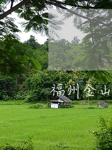 福州金山债务纠纷律师费用怎么付 福州金山债务纠纷律师费用怎么付