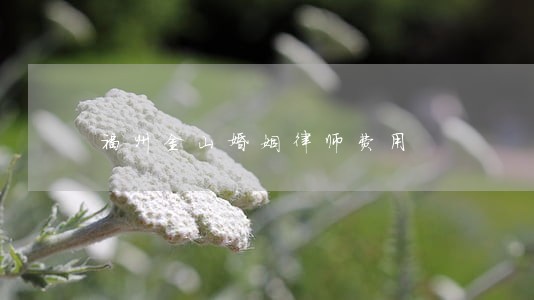 福州金山婚姻律师费用 福州金山婚姻律师费用