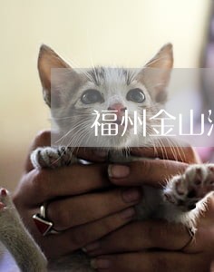 福州金山法院电话 福州金山法院电话