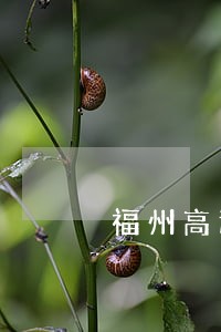 福州高速公路违法处理