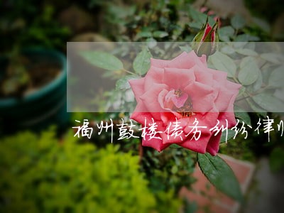 福州鼓楼债务纠纷律师费用 福州鼓楼债务纠纷律师费用
