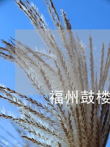 福州鼓楼法院三金 福州鼓楼法院三金