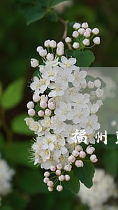 福州鼓楼法院法警跳楼自杀 福州鼓楼法院法警跳楼自杀