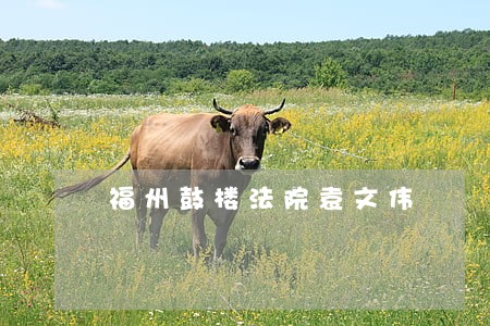 福州鼓楼法院袁文伟