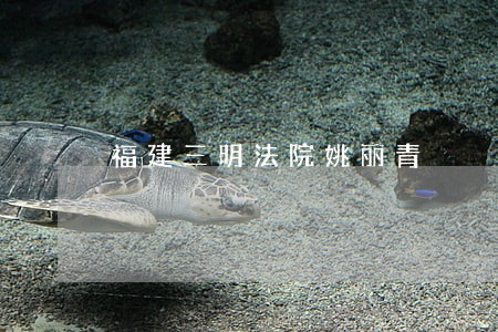 福建三明法院姚丽青 福建三明法院姚丽青