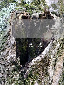 福建东南卫视律师在现场 福建东南卫视律师在现场