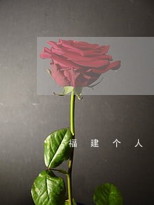 福建个人所得税逾期申报 福建个人所得税逾期申报