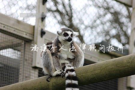 福建个人法律顾问报价 福建个人法律顾问报价