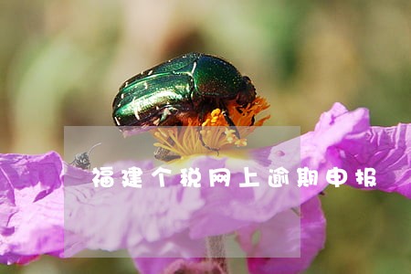 福建个税网上逾期申报 福建个税网上逾期申报