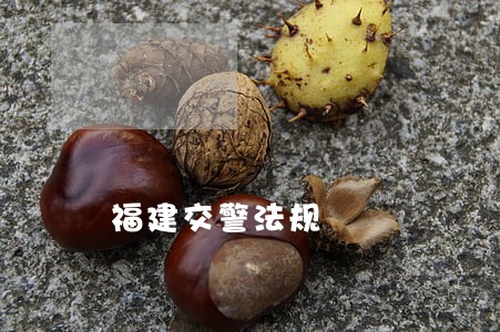 福建交警法规 福建交警法规