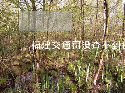 福建交通罚没查不到违法照片 福建交通罚没查不到违法照片
