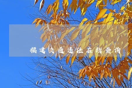 福建交通违法在线查询 福建交通违法在线查询