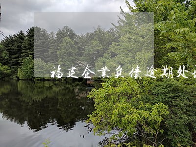 福建企业负债逾期处理律师 福建企业负债逾期处理律师