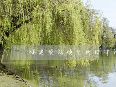 福建侵权损害纠纷律师找谁 福建侵权损害纠纷律师找谁