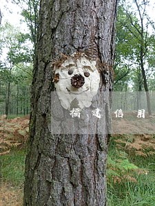 福建信用卡逾期一天会怎样