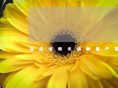 福建信用卡逾期最严重地区