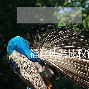 福建债务债权律师咨询号码 福建债务债权律师咨询号码