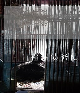 福建债务债权律师哪个好 福建债务债权律师哪个好