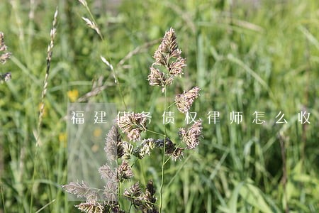 福建债务债权律师怎么收费 福建债务债权律师怎么收费