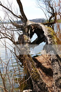 福建债务和债权律师咨询费用 福建债务和债权律师咨询费用