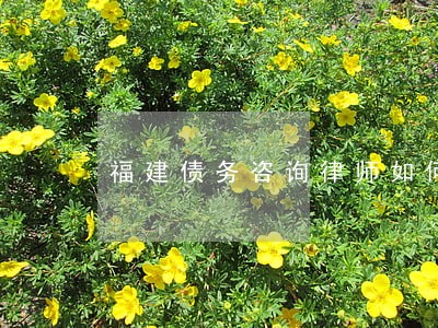 福建债务咨询律师如何找 福建债务咨询律师如何找
