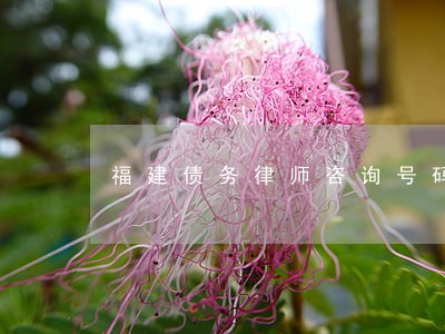 福建债务律师咨询号码 福建债务律师咨询号码