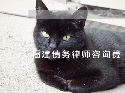 福建债务律师咨询费 福建债务律师咨询费