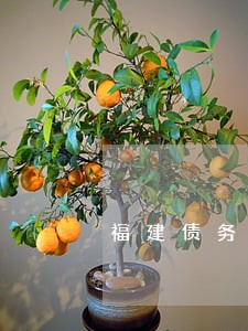福建债务律师如何找