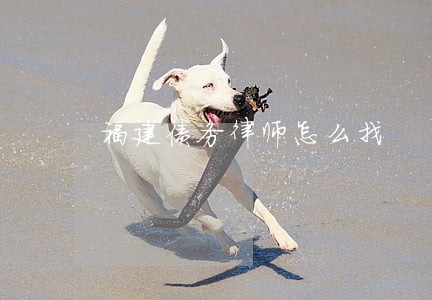 福建债务律师怎么找 福建债务律师怎么找