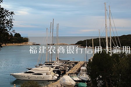 福建农商银行信用卡逾期 福建农商银行信用卡逾期