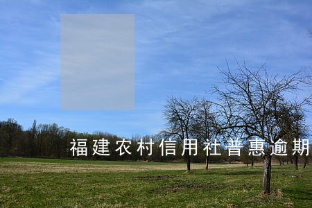 福建农村信用社普惠逾期 福建农村信用社普惠逾期