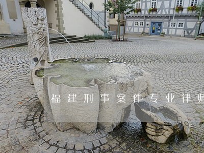 福建刑事案件专业律师