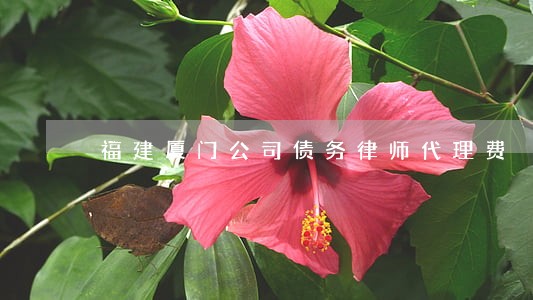 福建厦门公司债务律师代理费 福建厦门公司债务律师代理费