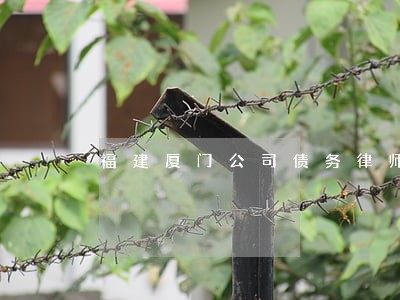 福建厦门公司债务律师多少钱 福建厦门公司债务律师多少钱