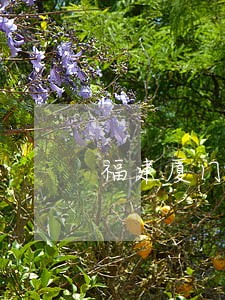 福建厦门公律顾问事务所 福建厦门公律顾问事务所