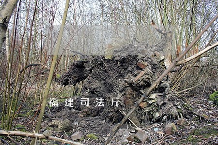 福建司法斤 福建司法斤