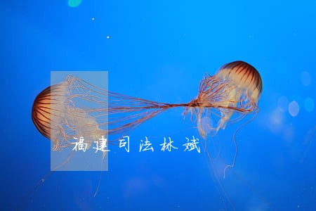 福建司法林斌